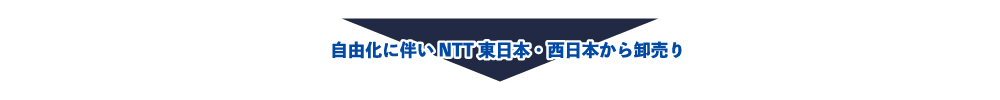 自由化に伴いNTT東日本・西日本から卸売り